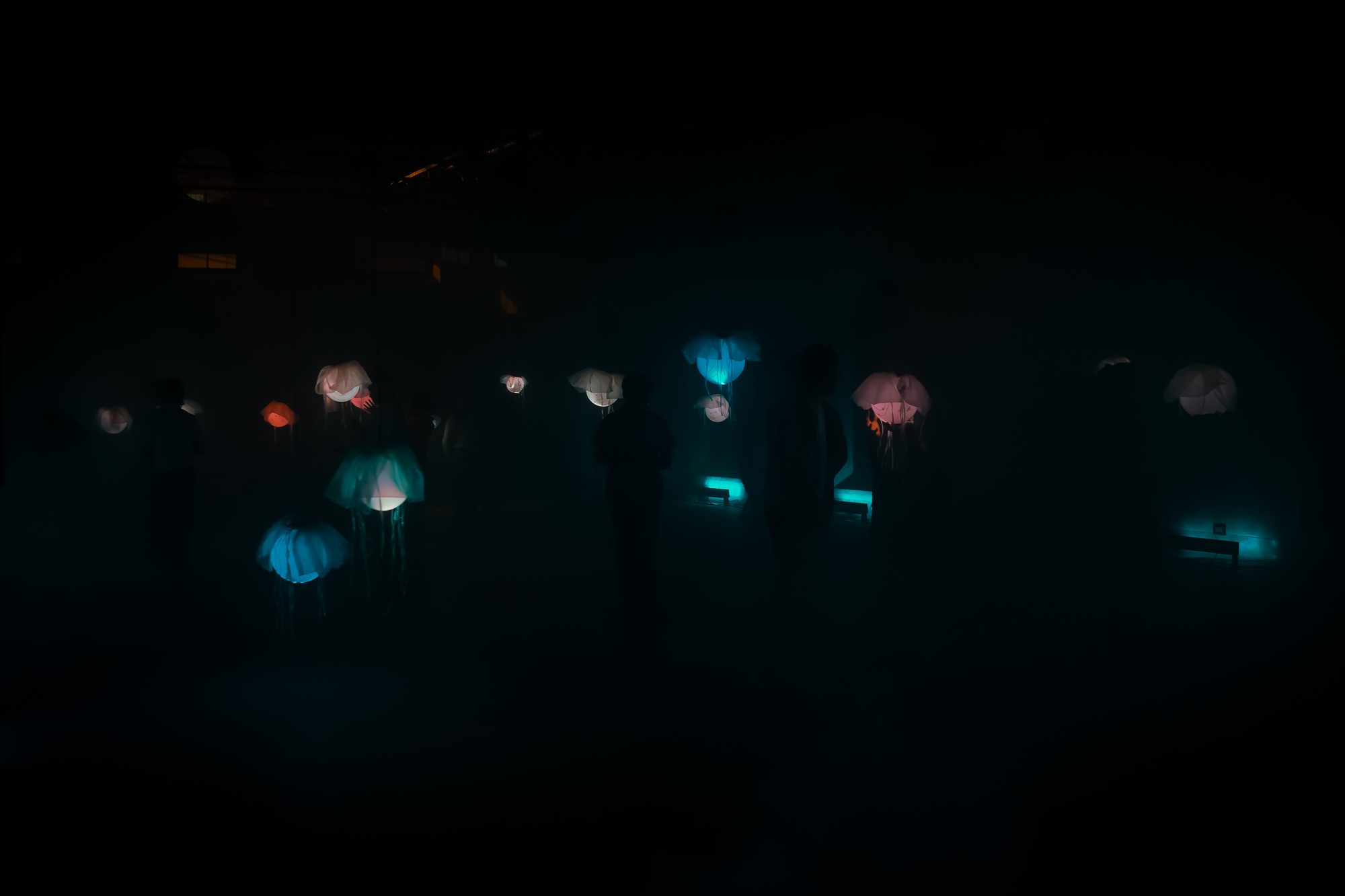 Sound Garden
